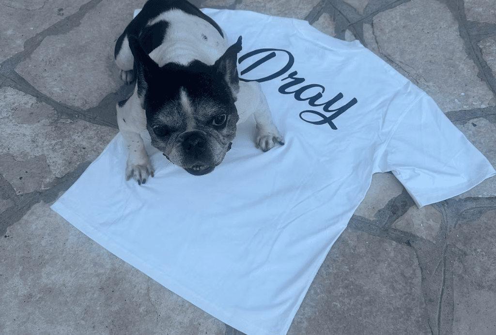 Mascotte DRAY - French Bulldog con maglietta DRAY
